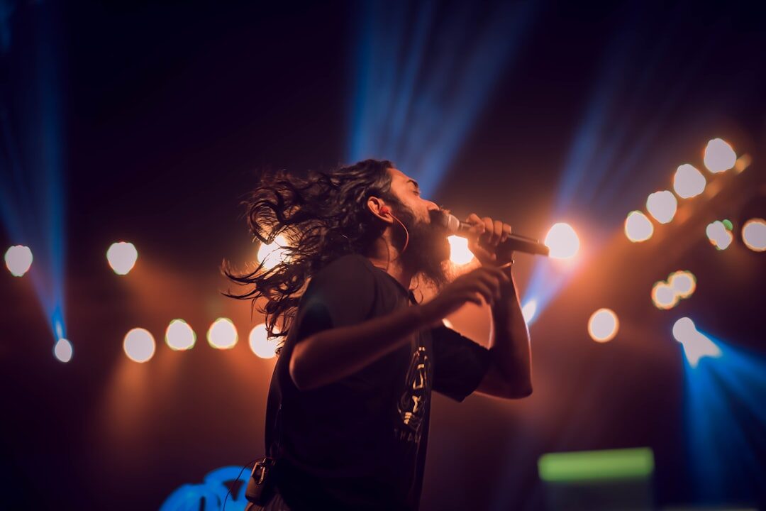 musician performing on stage