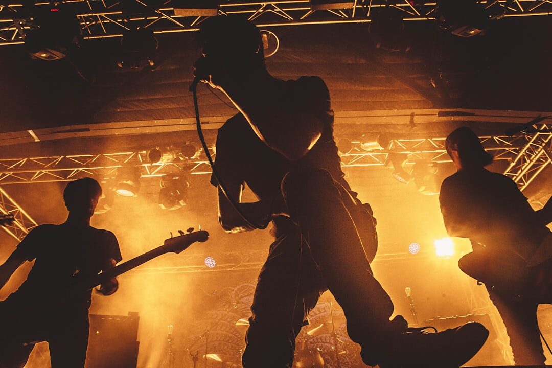 musician performing on stage